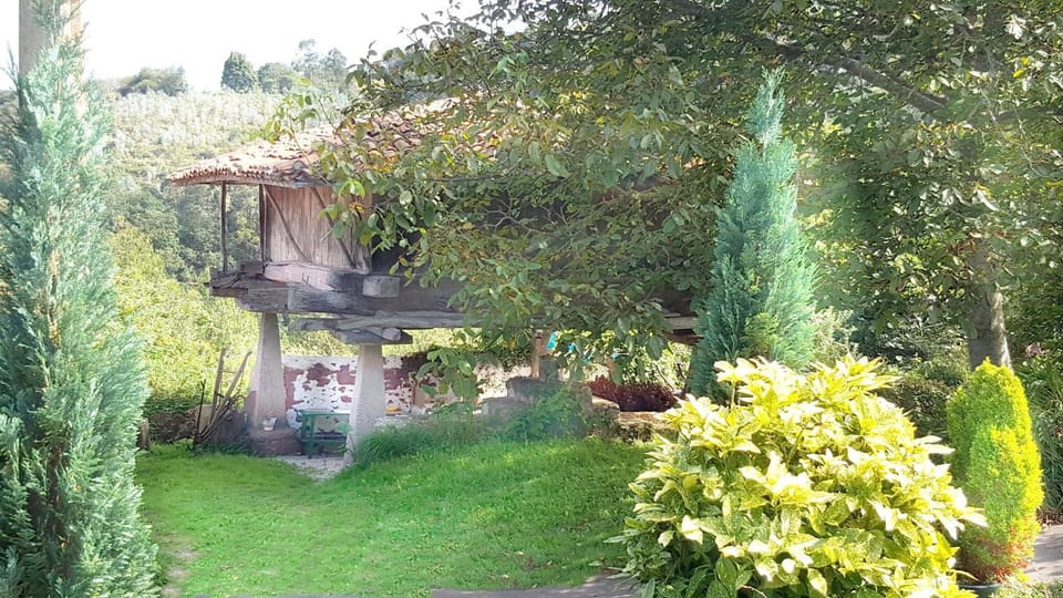 Natural landscape, Garden