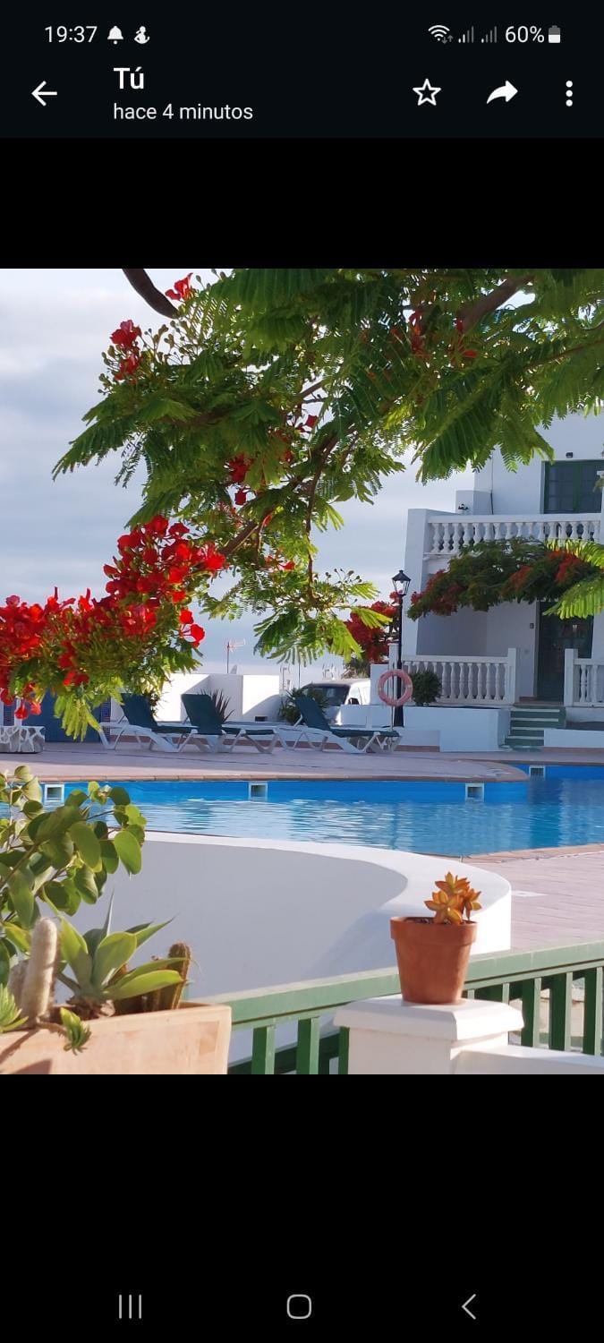 Pool view