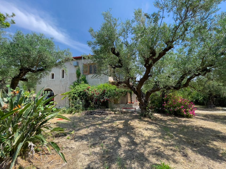 Property building, Garden