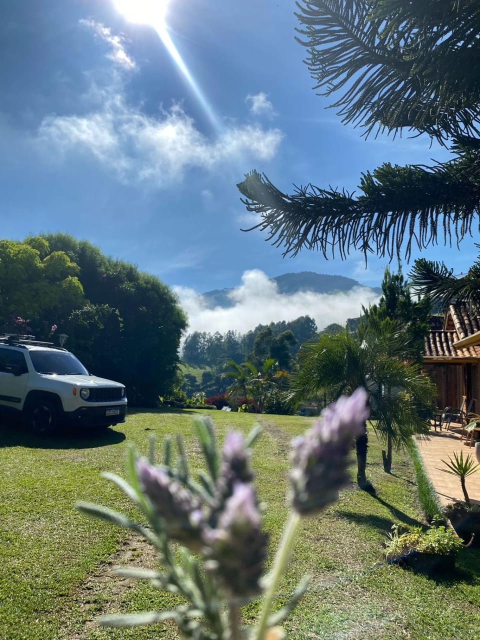 Spring, Day, Natural landscape, Garden, Garden view, Mountain view, Parking