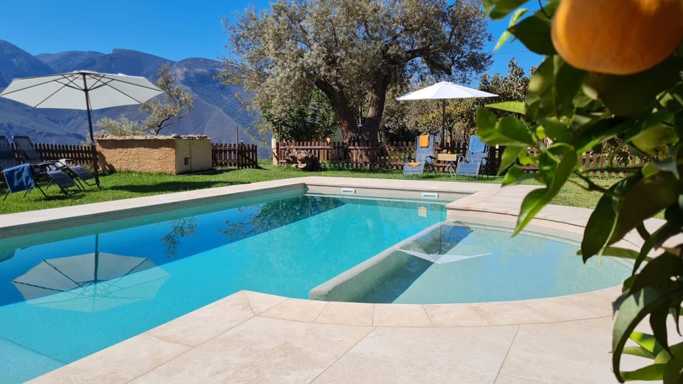 Spring, Day, Summer, Garden, Swimming pool, sunbed