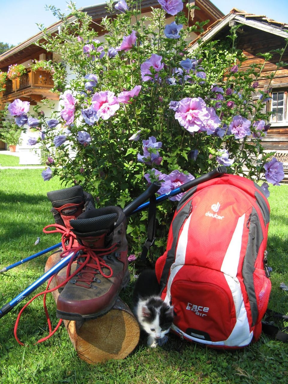 Ferienwohnungen Wanderparadies Bauernhof Farm Stay in Aschau im Chiemgau