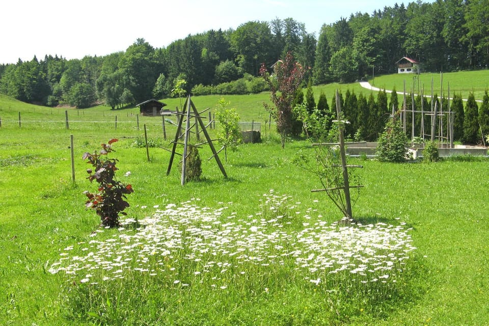 Ferienwohnungen Wanderparadies Apartment in Aschau im Chiemgau