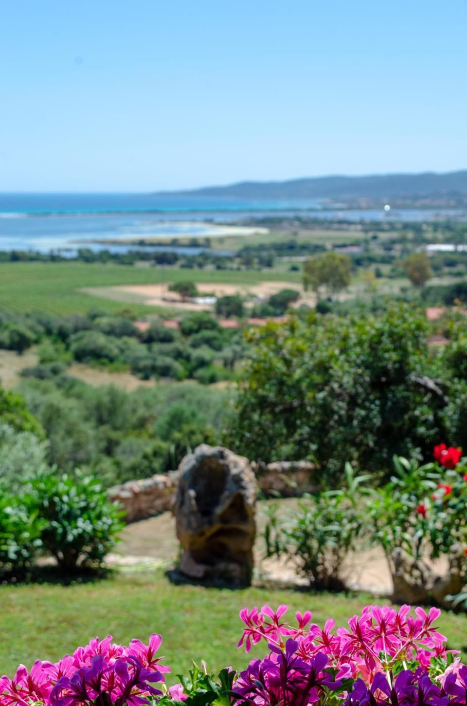 Garden, Garden view, Sea view