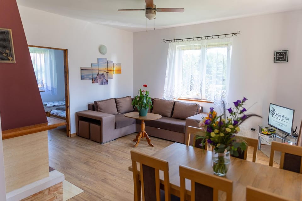 TV and multimedia, Living room