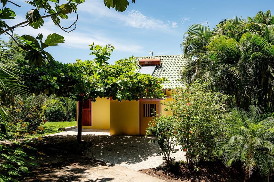 Property building, Day