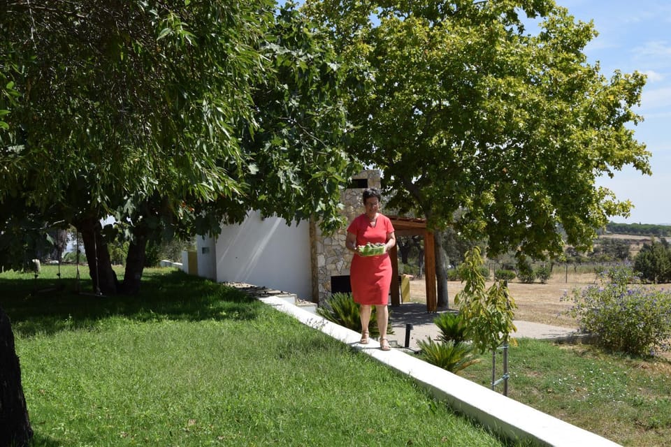 BBQ facilities, Garden
