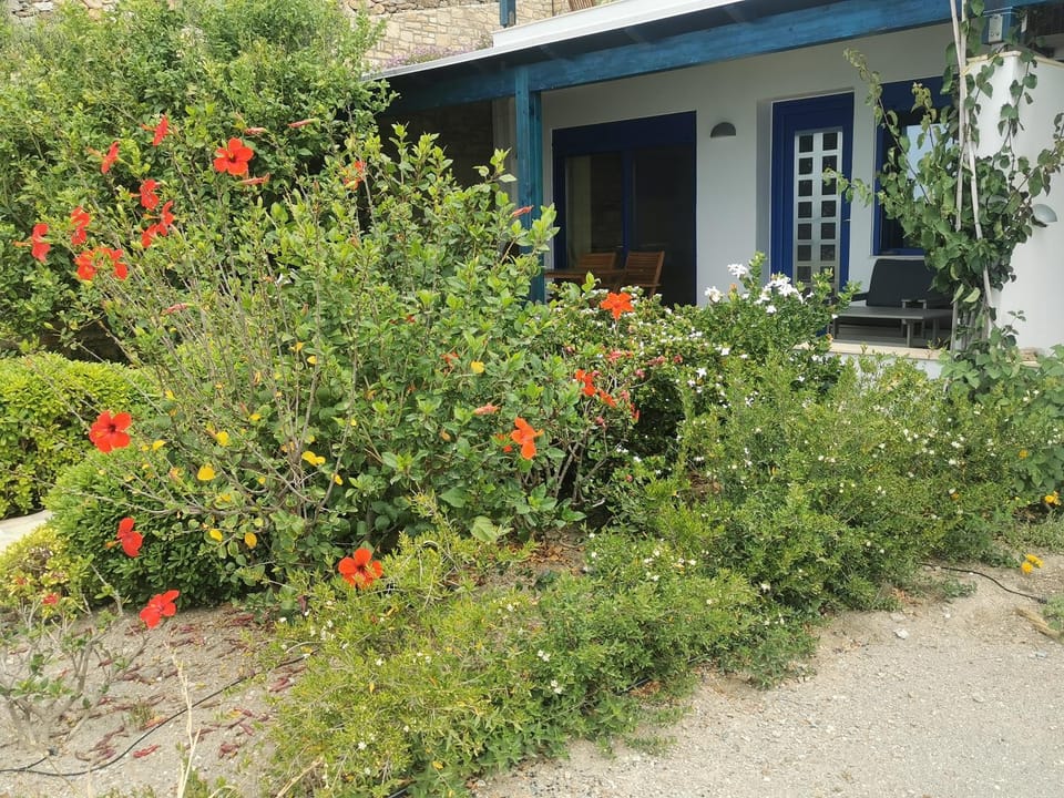 Konaki Apartments Kerames Apartment in Crete