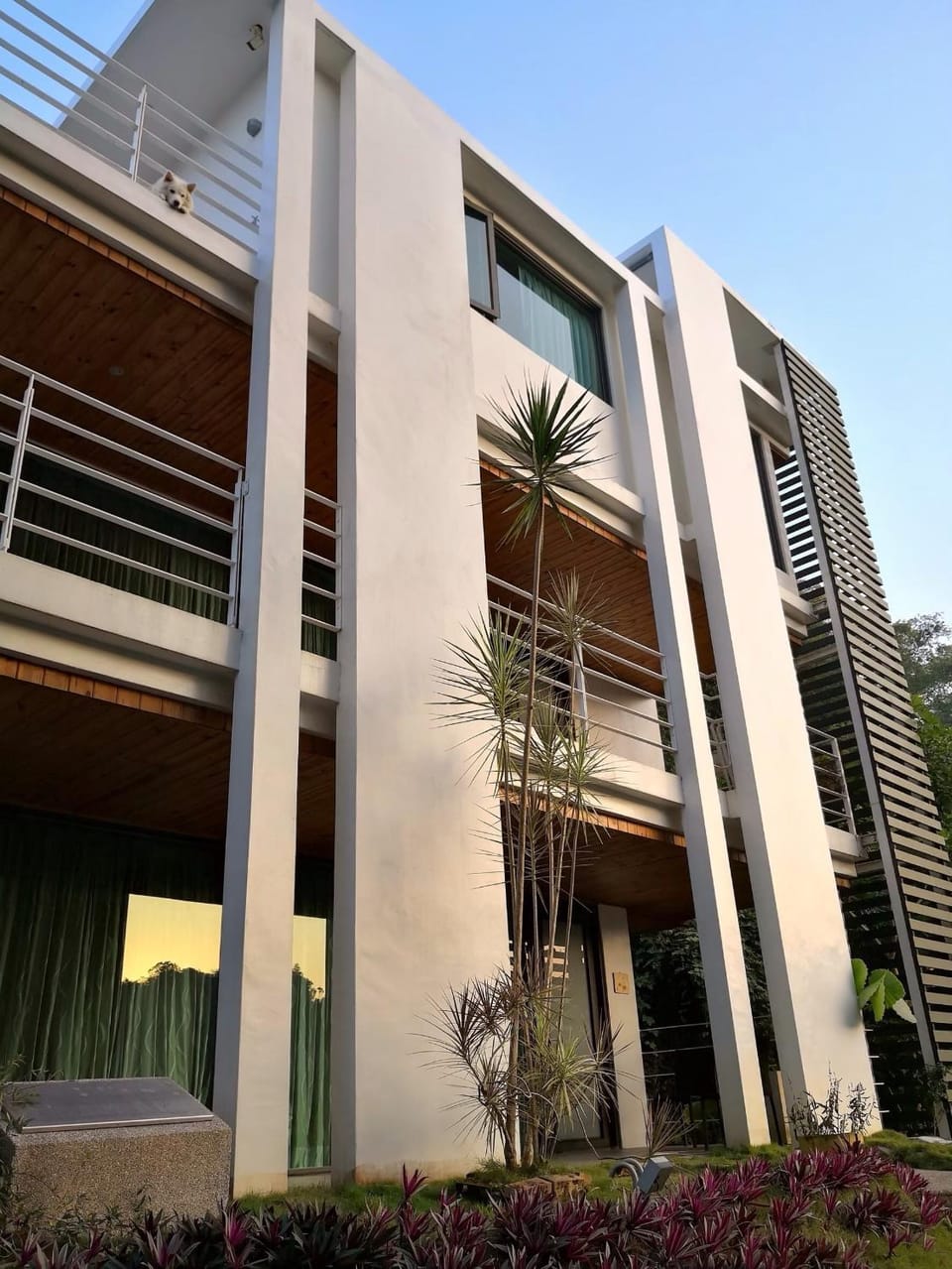 Property building