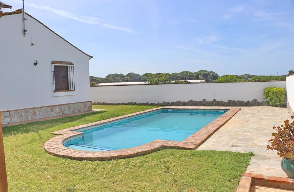 Garden, Swimming pool
