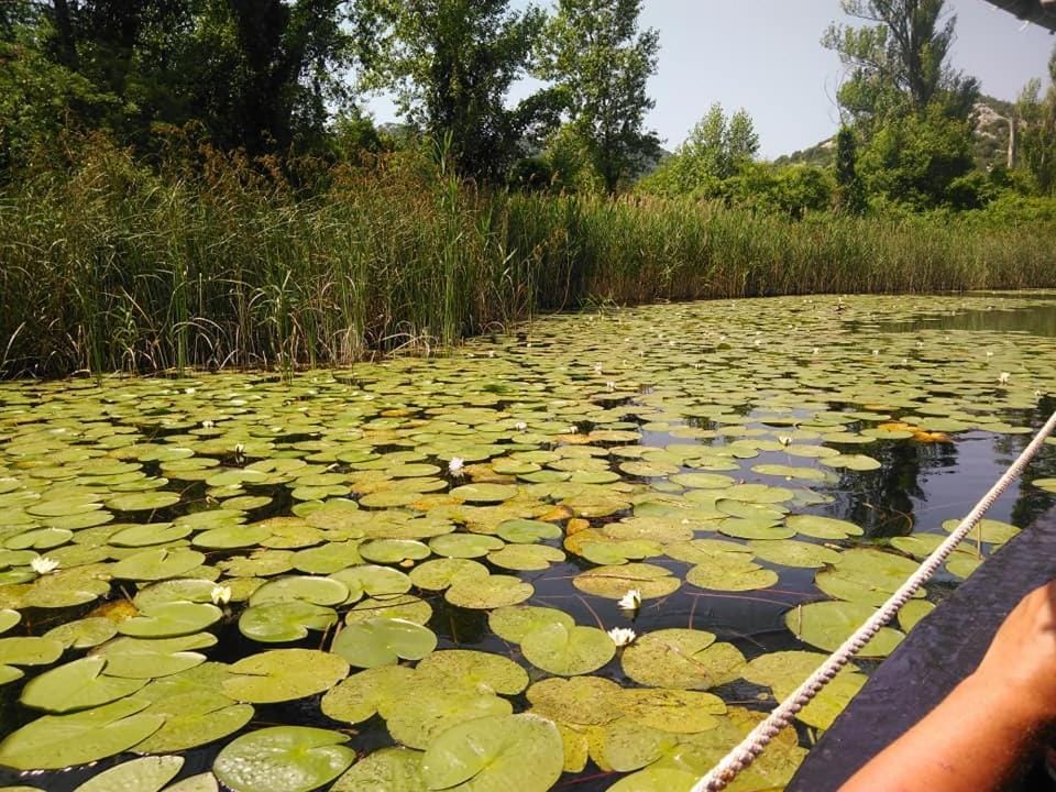 Apartments Bogunovic Apartment in Dubrovnik-Neretva County