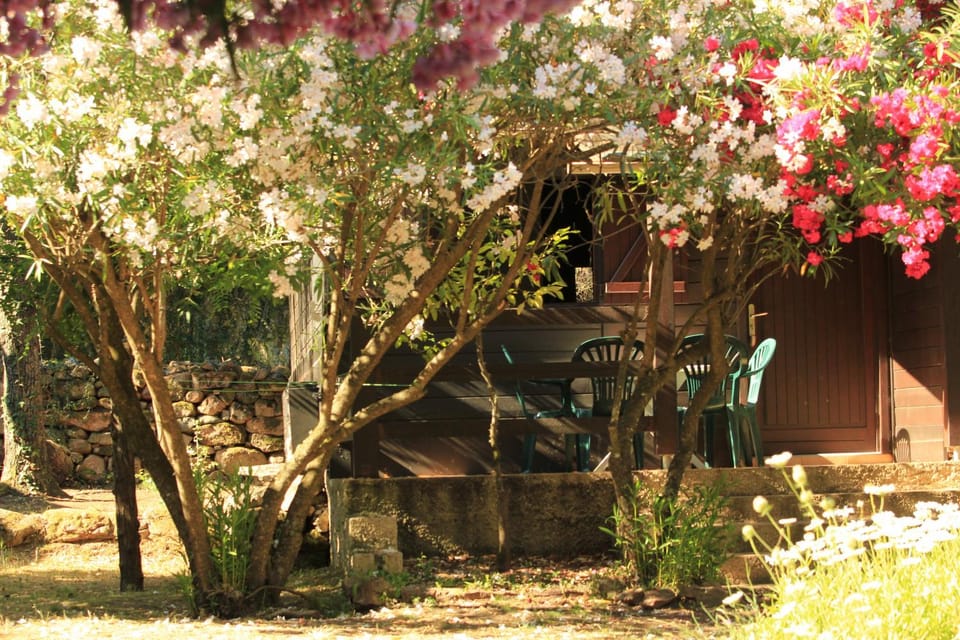 Garden, Balcony/Terrace