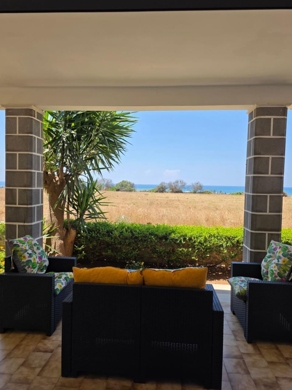 Patio, Natural landscape, Garden view