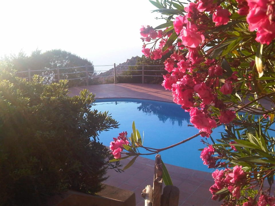 Pool view, Swimming pool, Sunset