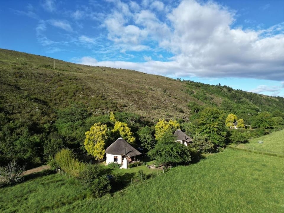 Frog Mountain Getaway Farm Stay in Western Cape