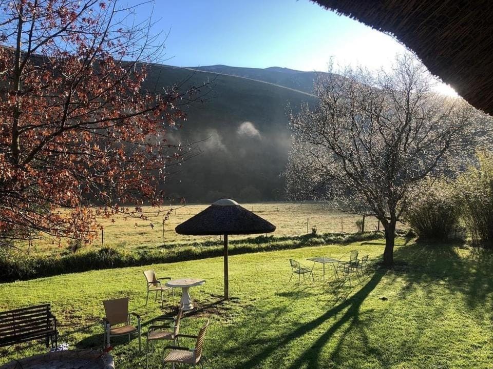 Natural landscape, Garden, Garden view, Mountain view