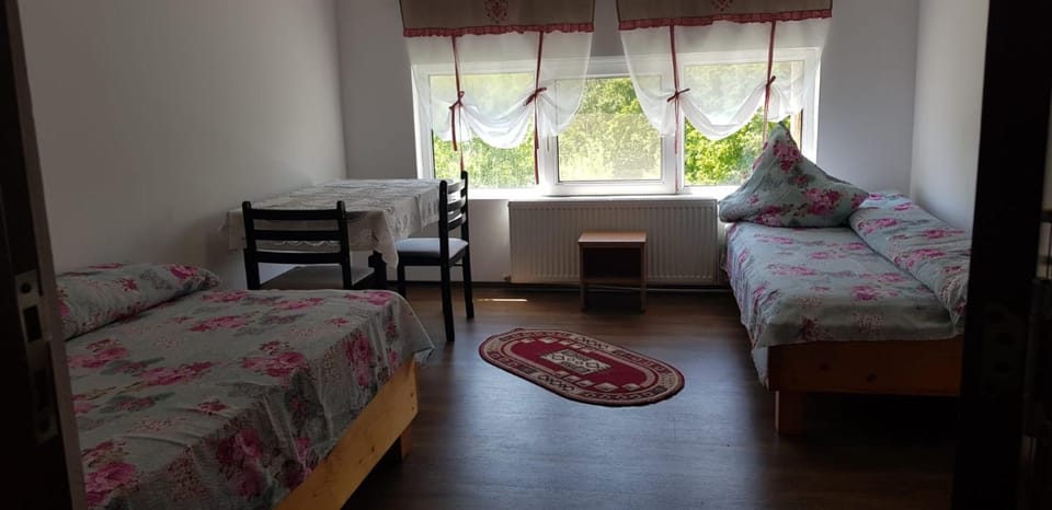 Perla Neagră Lotus Spa Bed and Breakfast in Romania