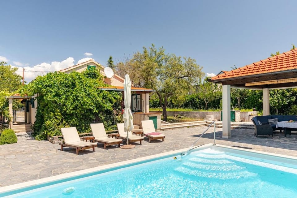 Patio, Spring, Day, Garden, Garden view, Pool view, Swimming pool, sunbed