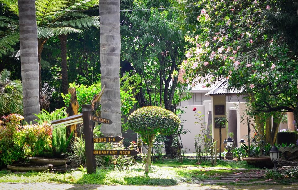 Garden view