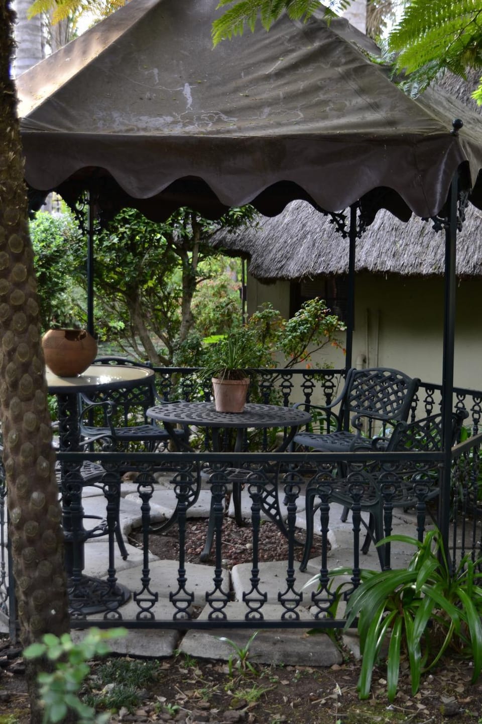 Garden view