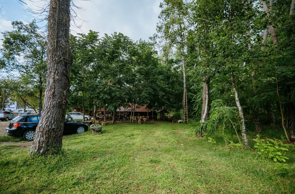Activities, Garden