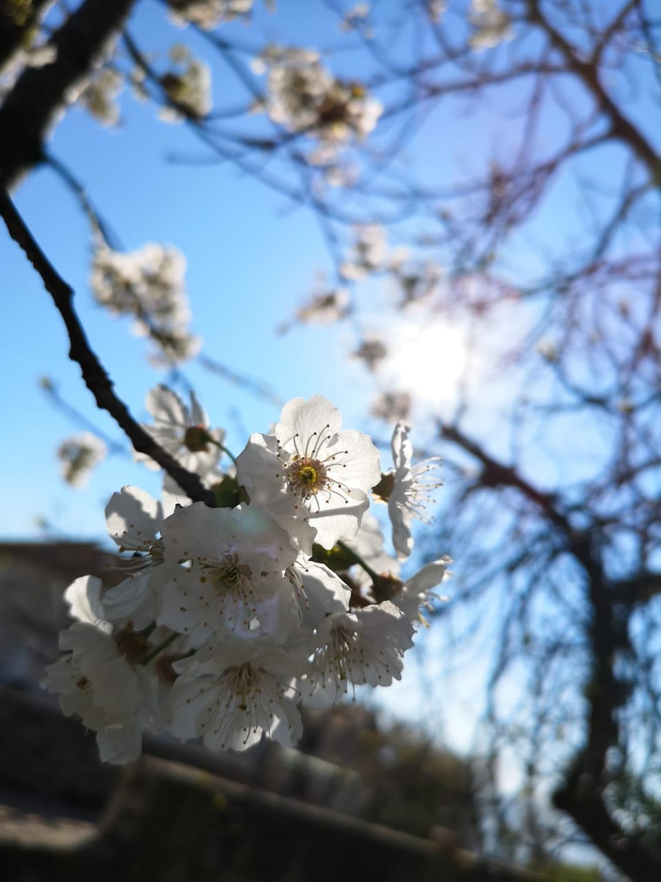 Spring, Natural landscape