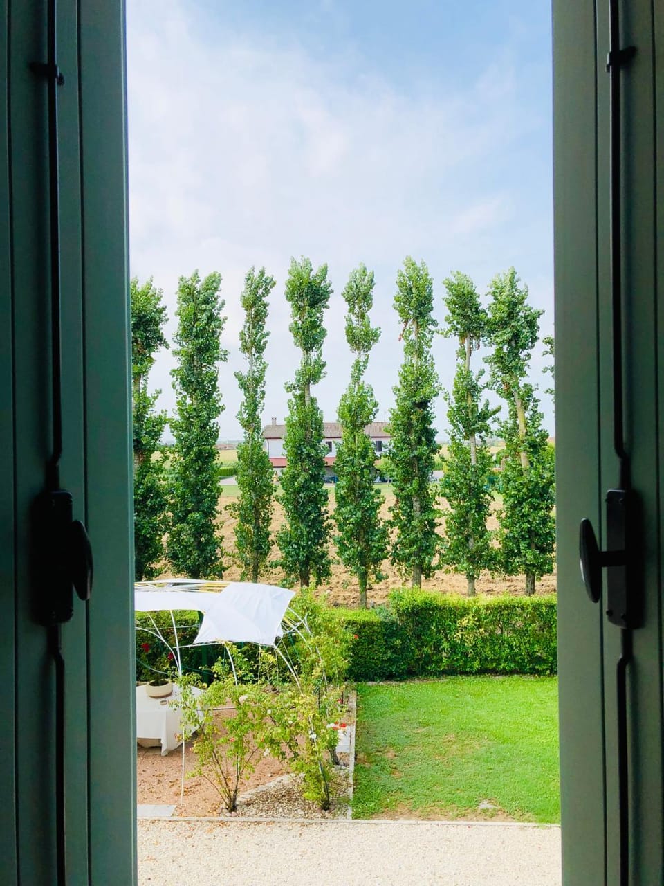 Garden view