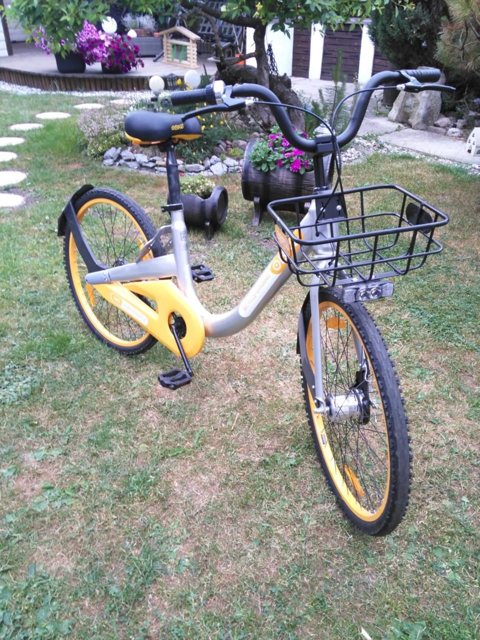 Cycling