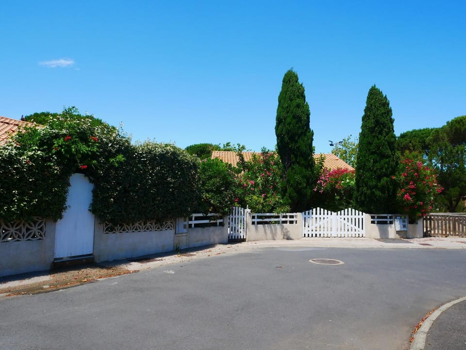 Facade/entrance, Spring, Summer