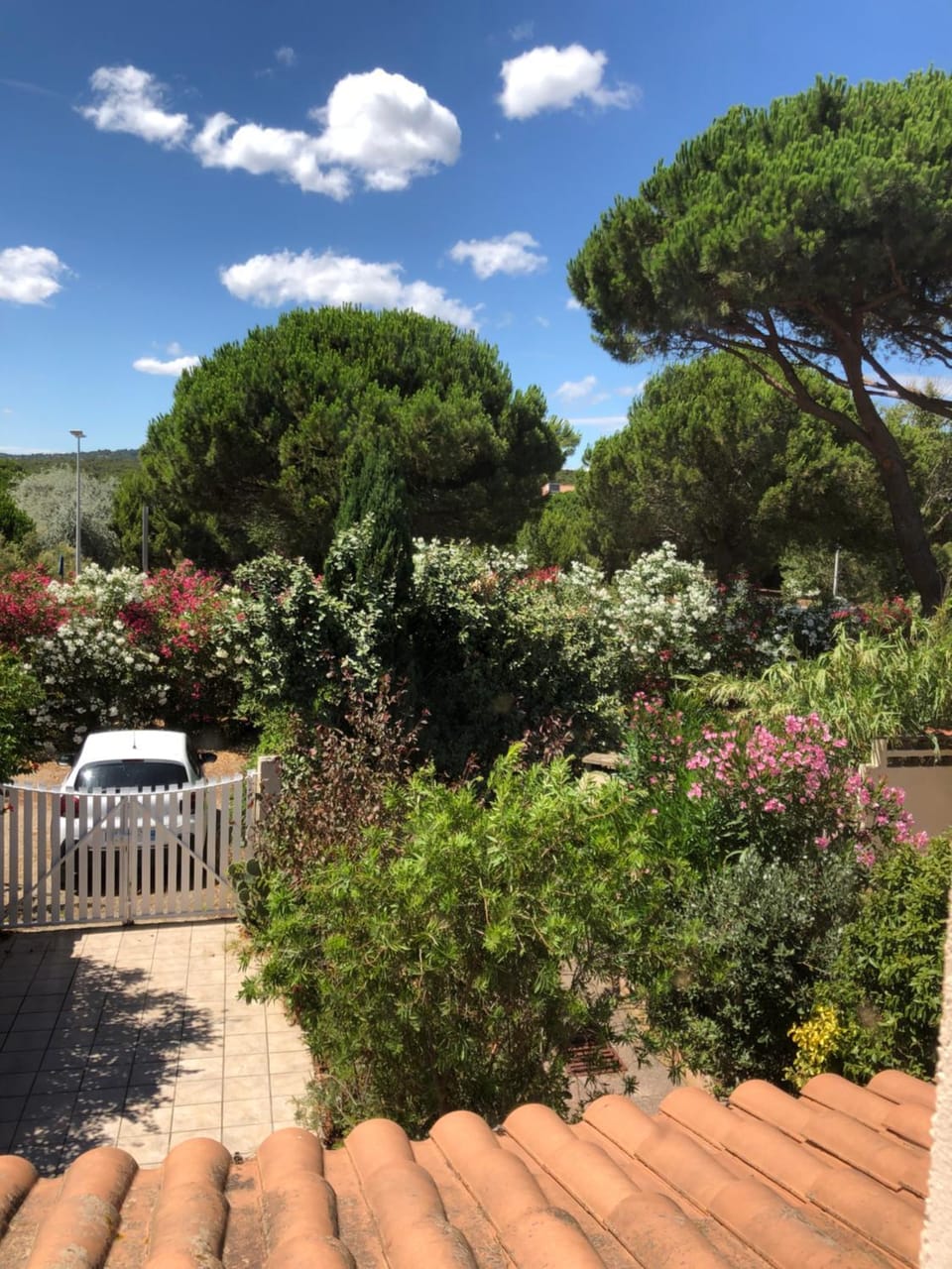 BBQ facilities, Garden, Garden view, Parking