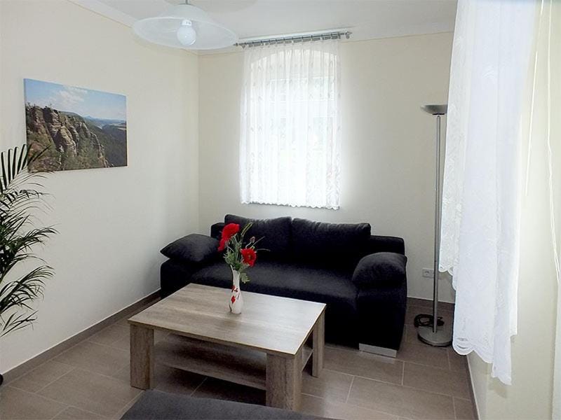 Ferienwohnungen "Am Elbufer" Apartment in Bad Schandau