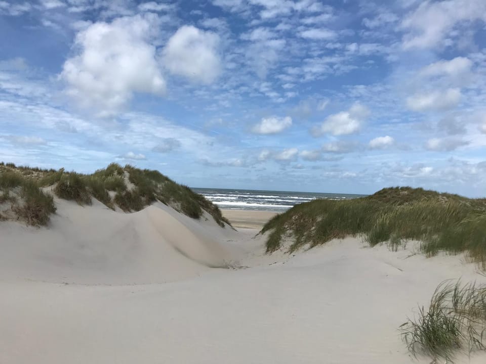 Natural landscape