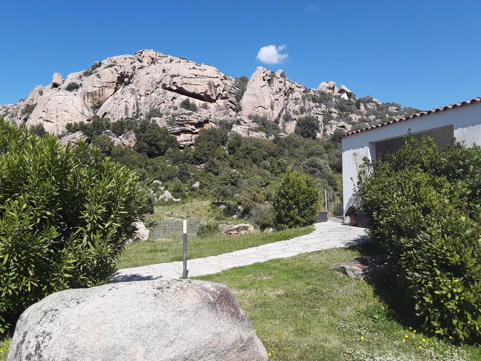 Garden, Mountain view