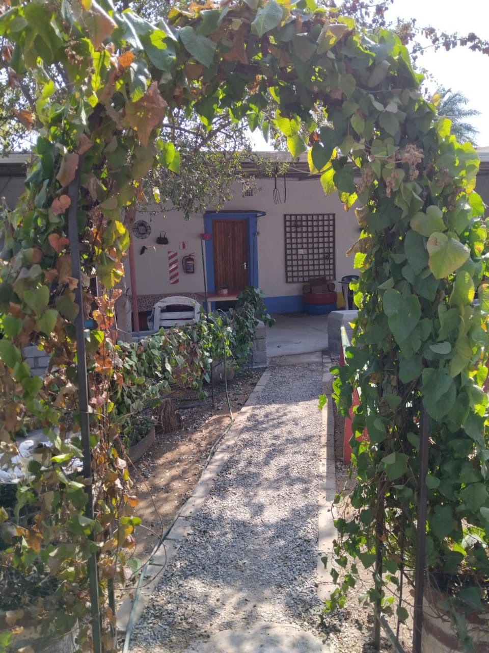 Inner courtyard view