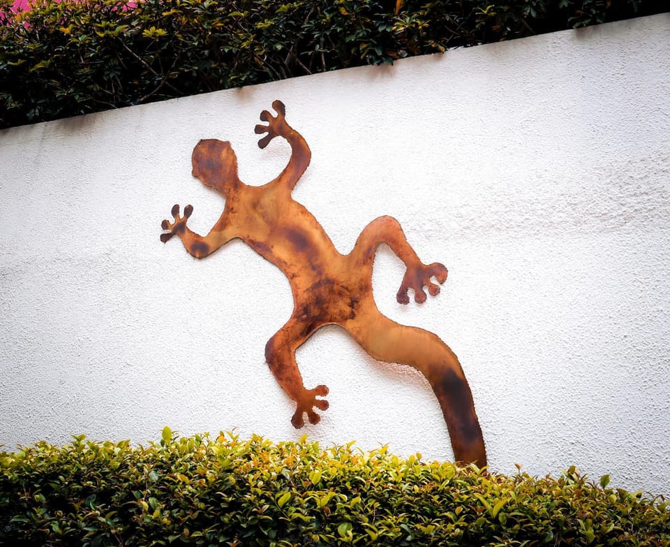 Hostal Cuija Coyoacan Berlin 268 Coyoacan Bed and Breakfast in Mexico City