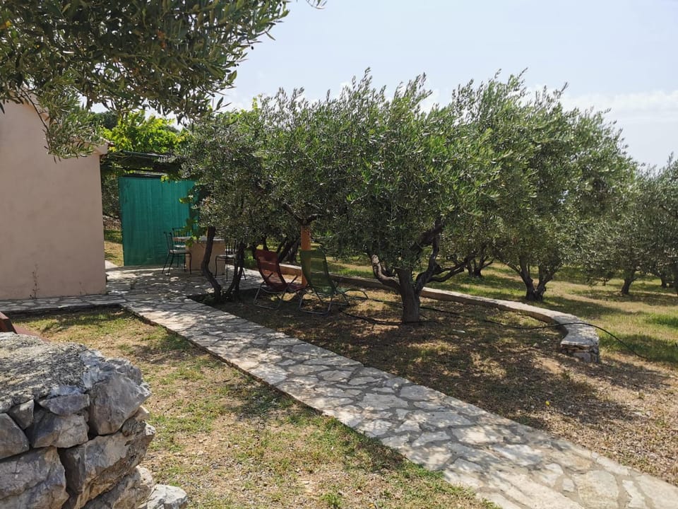 Holiday home Oliva cottage House in Bol