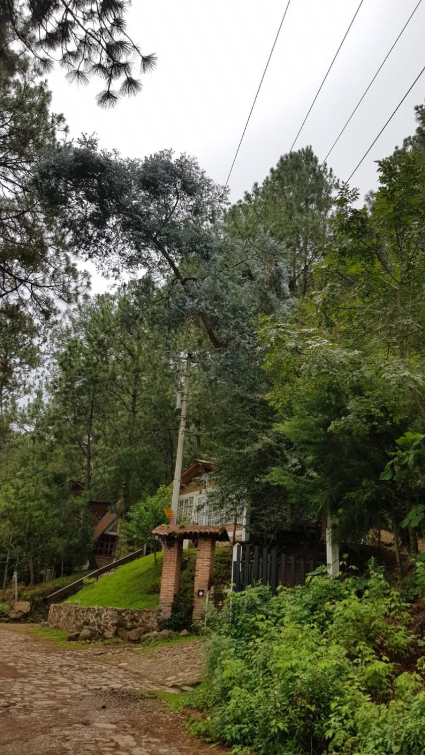 Cabañas las Alazanas Campground/ 
RV Resort in State of Michoacán