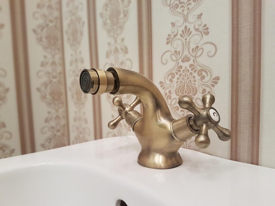 Toilet, Patio, Bathroom, Decorative detail