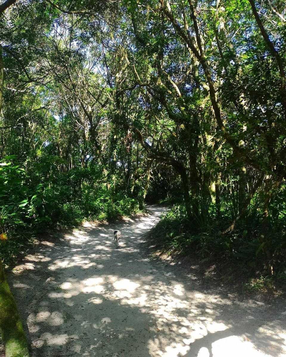 Hiking