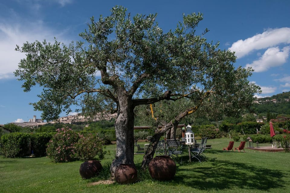 Natural landscape, Garden