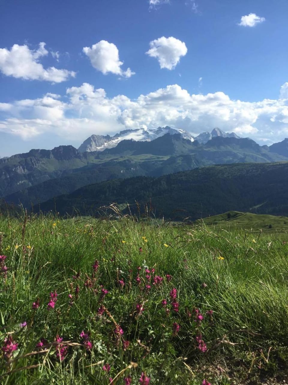 Ciasa Fedo Apartment hotel in Trentino-South Tyrol