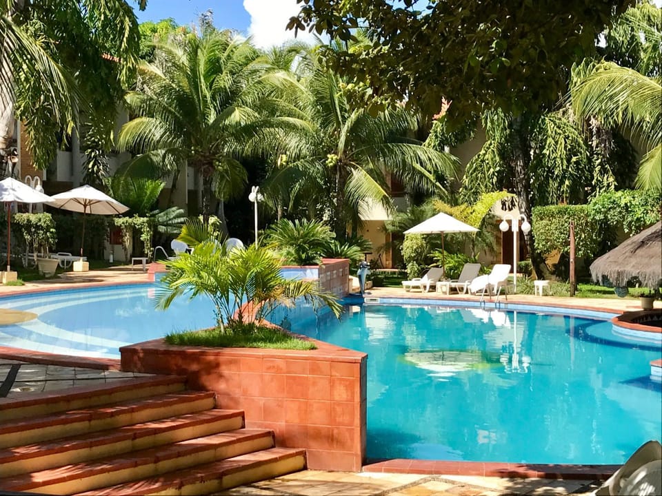 Garden, Pool view, Swimming pool