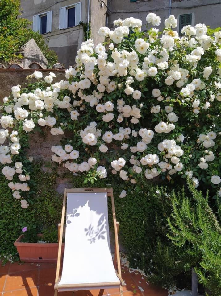 Spring, Decorative detail, Garden view