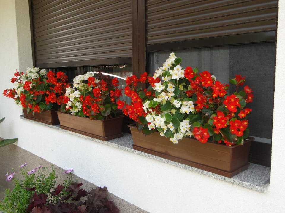Decorative detail