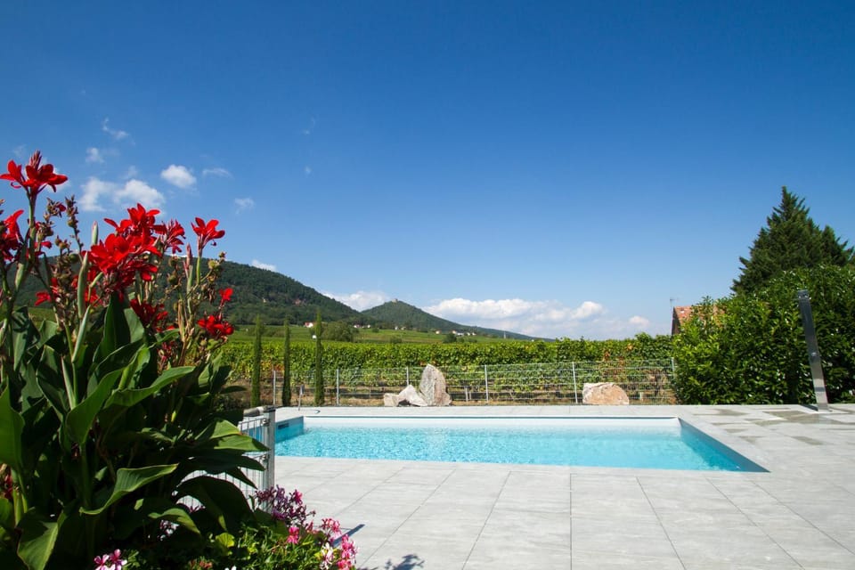 Swimming pool, Swimming pool