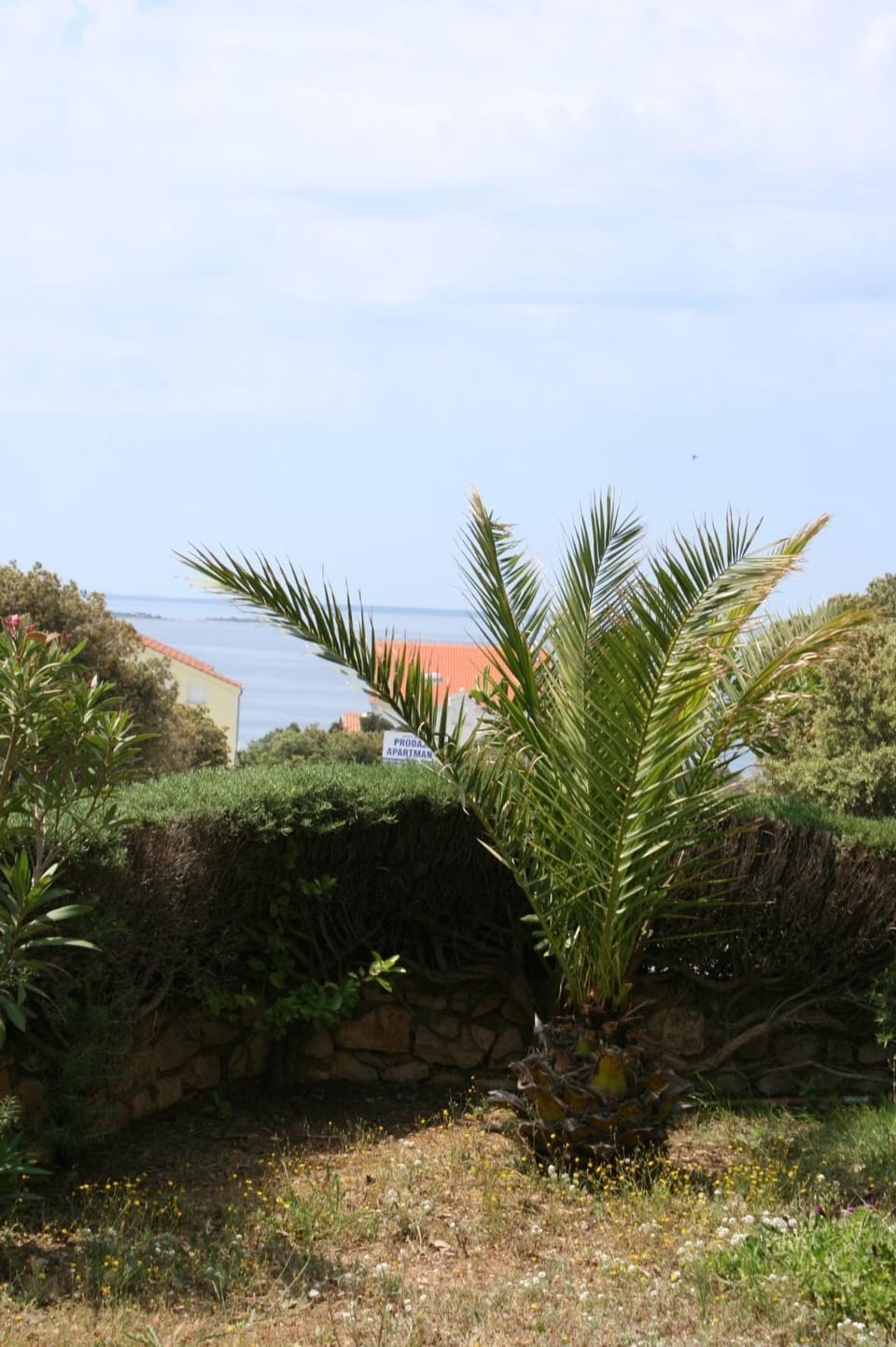 Location, children, Family