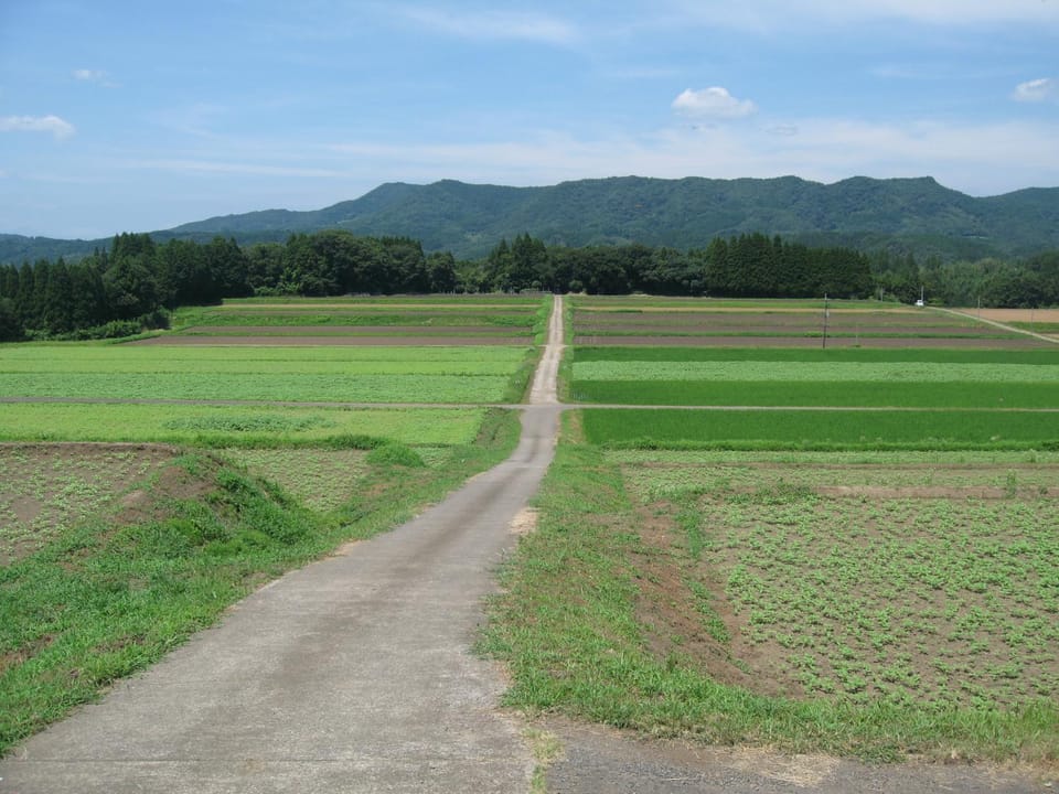Natural landscape