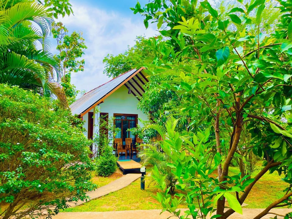 Property building, Garden