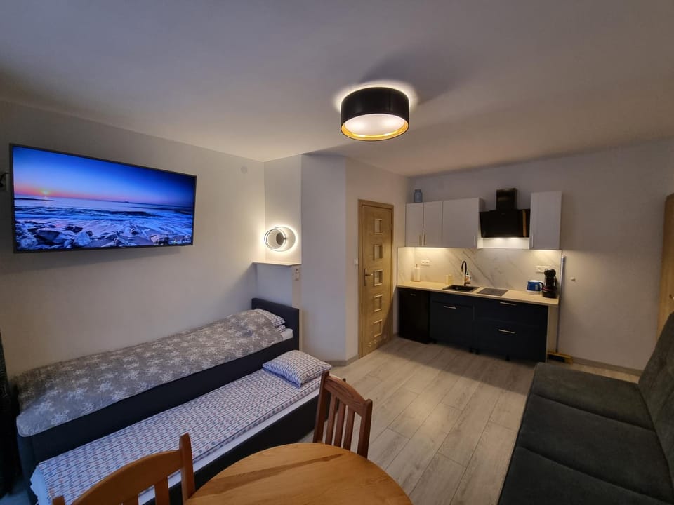 Kitchen or kitchenette, Living room, Photo of the whole room, Dining area, bunk bed