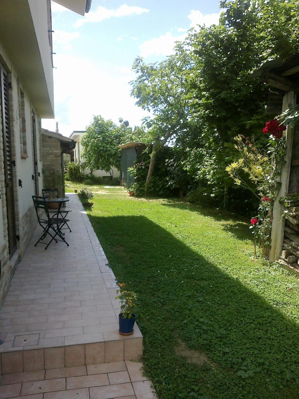 Garden view
